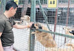 ‘Yaşam her canlı için bir hak’