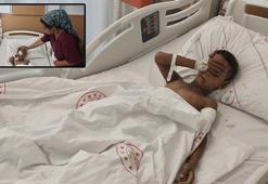 Muğla'da köpeğin saldırısına uğrayan 7 yaşındaki çocuk yaralandı