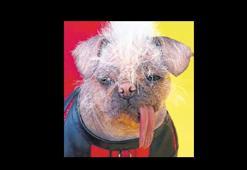 Şöhret onu değiştirmedi!