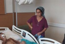 Muğla'da dehşet! 7 yaşındaki çocuğu köpeğin ağzından zorla aldılar