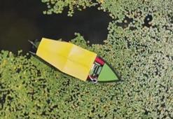 Müthiş manzara! Beyşehir Gölü resmen çiçek bahçesine döndü