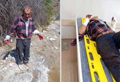 Çorum'da domuz sürüsü ile karşılaşan kişi dehşeti yaşadı