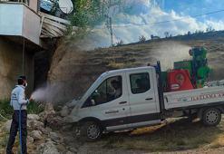 İki ilçeyi bit, pire ve sivrisinekler istila etti! İlaçlama başlatıldı