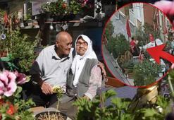 Eşi için kaldırımı bahçeye çevirmişti! Kadın komşusu kabusu oldu