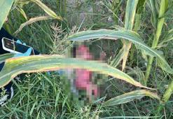 Mısır tarlasında bulunan bebeğin ardından dram çıktı: Anne 15, baba 16 yaşında