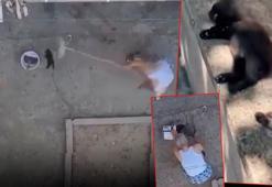 İnfial yaratan görüntüyü böyle savundu! 3 yavru kediyi mutfağına girdiği için öldürmüş