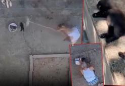 İnfial yaratan görüntüyü böyle savundu! 3 yavru kediyi mutfağına girdiği için öldürmüş