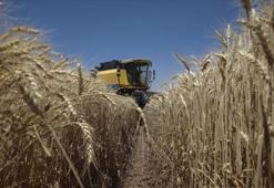 Tarım ÜFE temmuzda azaldı