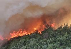 Çanakkale’deki orman yangını büyüyor! 57. Alay Şehitliği ile Conkbayırı ziyarete kapatıldı