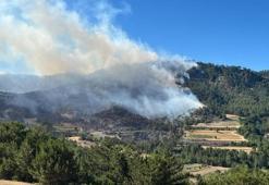 Bolu'da orman yangın! 2 köy tahliye edildi: Duman Eskişehir'e ulaştı