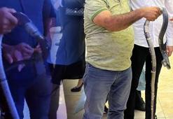Düğünde şaşkına çeviren olay! Piste yılanla çıktı