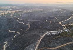 Son dakika: Çanakkale yangını kontrol altında