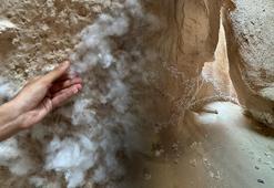 Kapadokya'da skandal görüntüler sonrası harekete geçildi!
