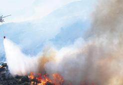 Piknik ateşi İzmir’i yaktı! Alevler şehir merkezine sıçradı