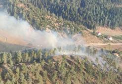 Osmaniye'de orman yangını! 5 hektar alan zarar gördü