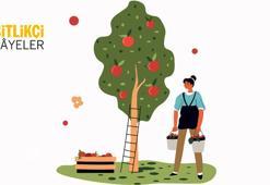 Tarımda kadın emeği güçleniyor