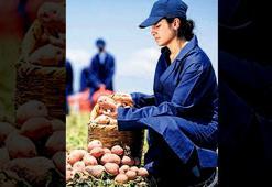 Yenileyici tarımı daha da yayacak