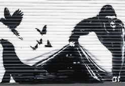 Banksy’nin hayvanları taşındı