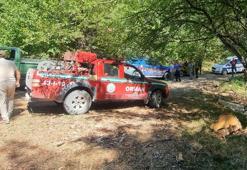 Dağ evi sulama havuzunda 13 köpek ölü bulundu! Tırnak izleri görüldü