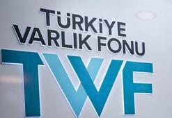 12 şirketin hisseleri Varlık Fonu'na aktarıldı