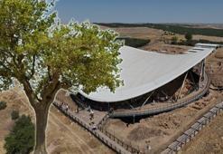 Göbeklitepe'den yükselen dut ağacının sırrı! 12 bin yıllık soruya cevap aranıyor