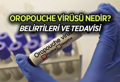 OROPOUCHE VİRÜSÜ NEDİR? Oropouche virüsü (OROV) belirtileri neler, tedavisi var mı? Tembel hayvan ateşi hakkında