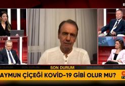 Maymun çiçeği hastalığı nasıl bulaşıyor? Yeni pandemi riski var mı? Prof. Dr. Mehmet Ceyhan'dan önemli açıklamalar