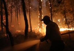 YANGIN SON DAKİKA 22 Ağustos: Bolu'da yangın nerede çıktı, söndürüldü mü? Orman yangını en son nerede oldu?