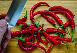 Elleri sızım sızım sızlatan biber acısına son! Herkes bilmiyor, ılık süt çaresiymiş