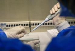 Maymun çiçeği ile ilgili merak edilen sorular! Evcil hayvana bulaşır mı?