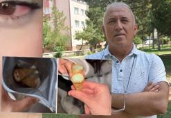 'Uyku keki' skandalı: Çocuklarımızı bu tuzaktan uzak tutalım