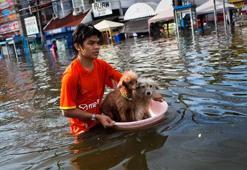 Tayland'daki sel ve heyelan felaketi: Can kaybı en az 22