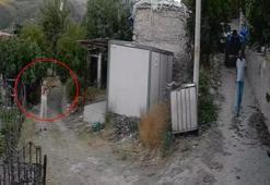 Bahçeye giren koyunlar nedeniyle işlenen cinayetin görüntüleri dehşete düşürdü