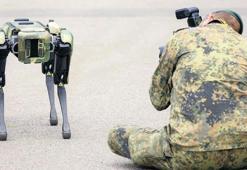 Zelenskiy ABD’ye barış planı götürecek