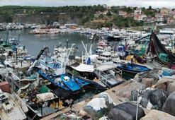 Geri sayım başladı: İstanbul'da av yasağının kalkmasına saatler kaldı