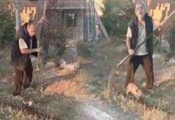 Ankara'da vahşet! Dirgenle yavru köpeği katleden cani ile ilgili flaş gelişme