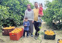 Hataylı çiftçiler için dayanışma çağrısı