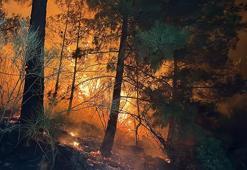 Muğla'daki orman yanıgnında 24 saat geride kaldı