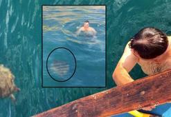 Yer: Alanya! Denizde görünce şaşkına döndü, yanında 1,5 saat yüzdü