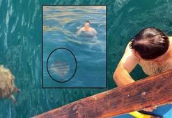 Yer: Alanya! Denizde görünce şaşkına döndü, yanında 1,5 saat yüzdü