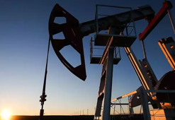 Petrol devlerinin karı düştü