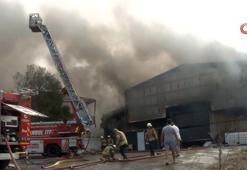 İstanbul Çatalca'da fabrika yangını! Ekipler sevk edildi