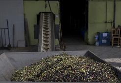 Dökme ve varilli zeytinyağı ihracatına uygulanan fon kesintisi kaldırıldı