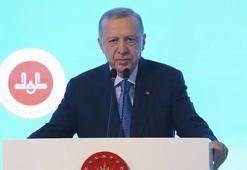 Erdoğan'dan Narin ve Sıla bebek açıklaması: Gereken her türlü adım atılacak