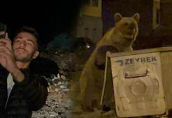 Burası Türkiye! Ayılarla tehlikeli selfie: 'Her gece aktivitemiz'