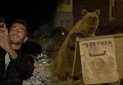 Ayılarla tehlikeli selfie: 'Her gece aktivitemiz'