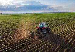 Tarım-ÜFE artış gösterdi