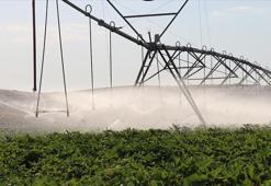 GAP'la canlanan topraklar alternatif ürünlerle bereketleniyor