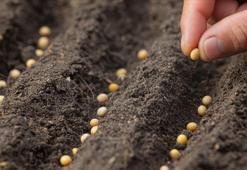 Tohumculuk sektöründe yol haritası üretim planlamasıyla çizilecek