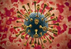 VİRÜS HABERLERİ 📌 XEC nedir, belirtileri nelerdir? Covid-19’un yeni ‘XEC’ varyantı bulaşıcı mı, nasıl korunulur?